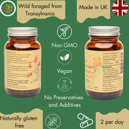 “Immune Wild™| Wild Rosehips and Sea Buckthorn Formula for Extra Defence and Powerful Immune Support”