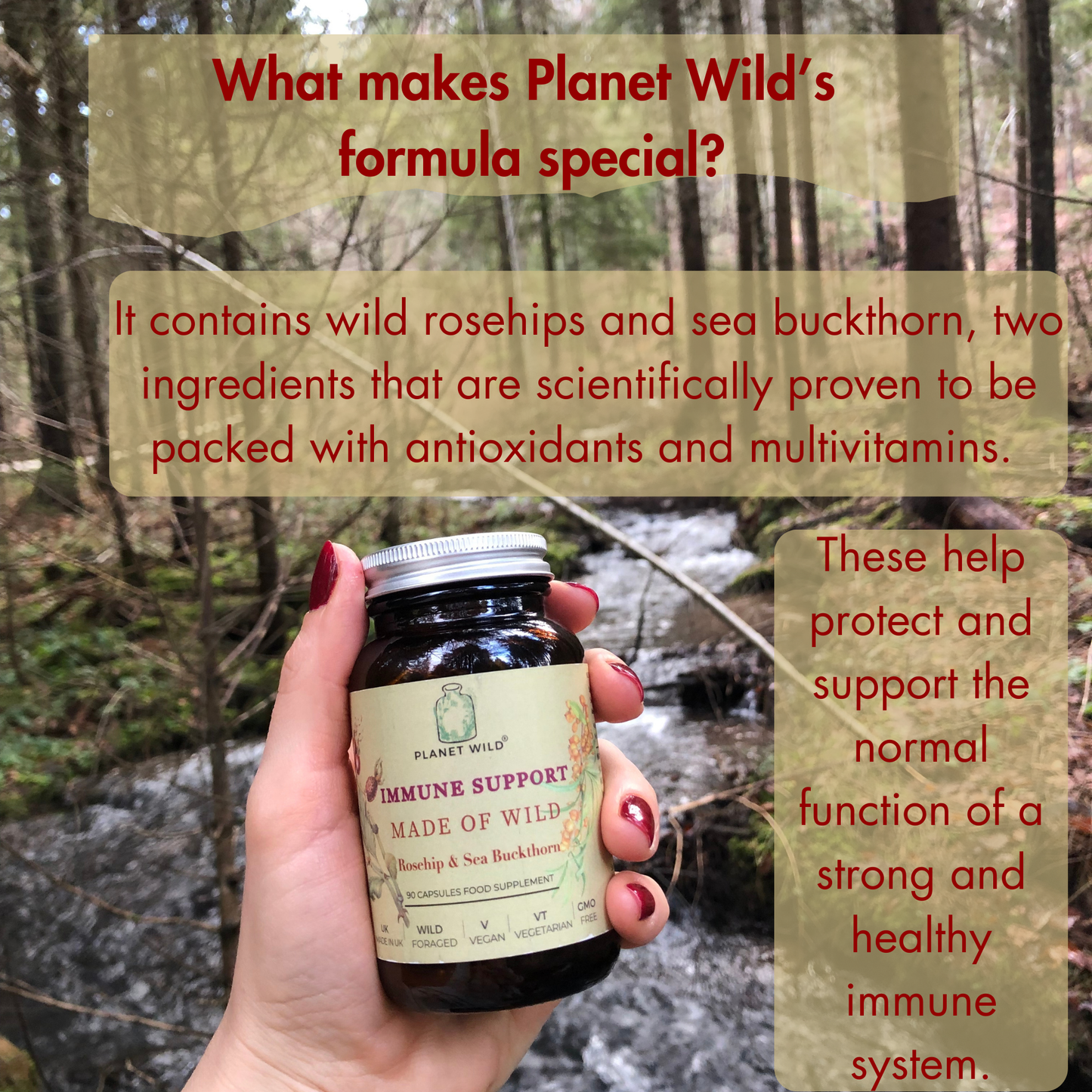 “Immune Wild™| Wild Rosehips and Sea Buckthorn Formula for Extra Defence and Powerful Immune Support”